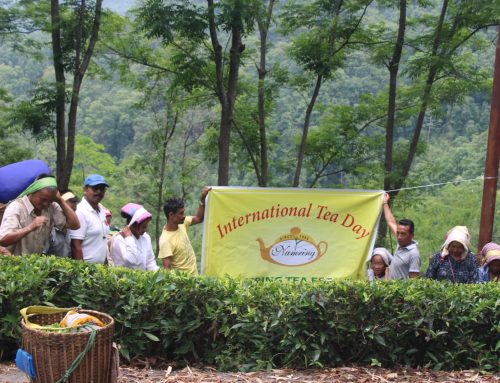 International Tea Day celebration at Namring Tea Estate : 21st-May-2024